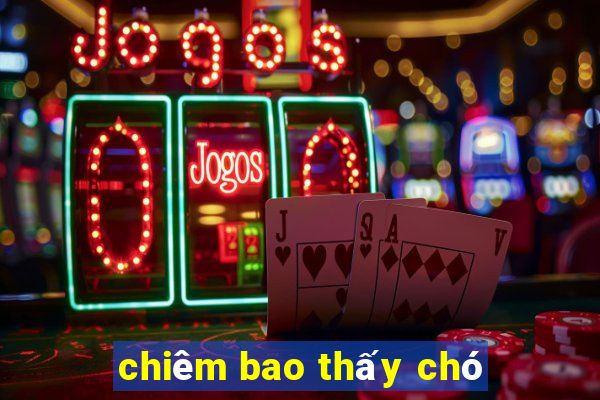 chiêm bao thấy chó