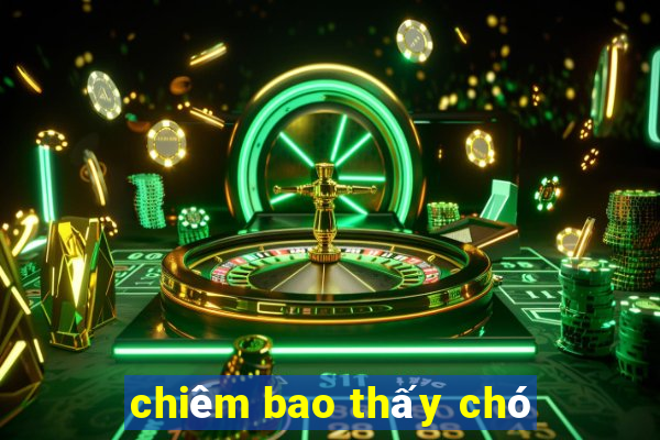 chiêm bao thấy chó