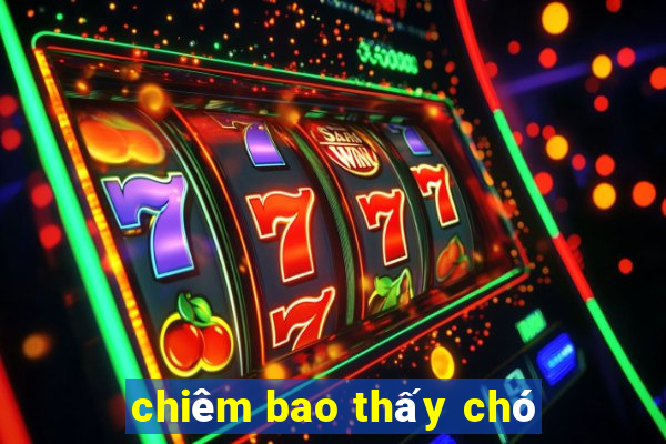 chiêm bao thấy chó