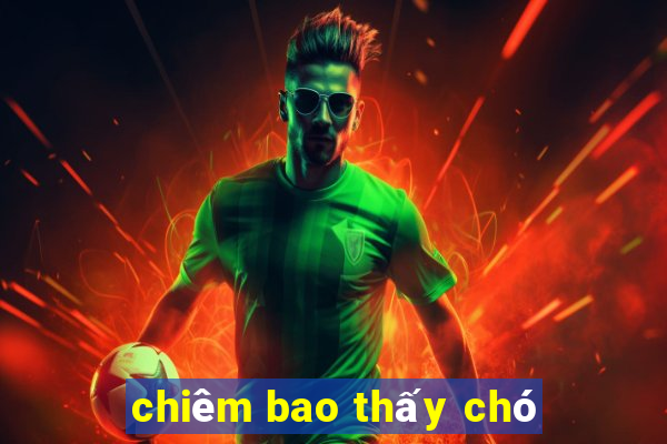 chiêm bao thấy chó