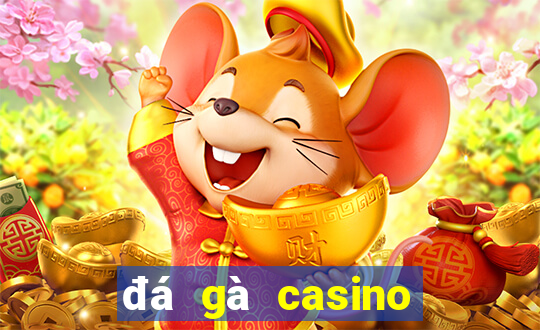 đá gà casino 999 live