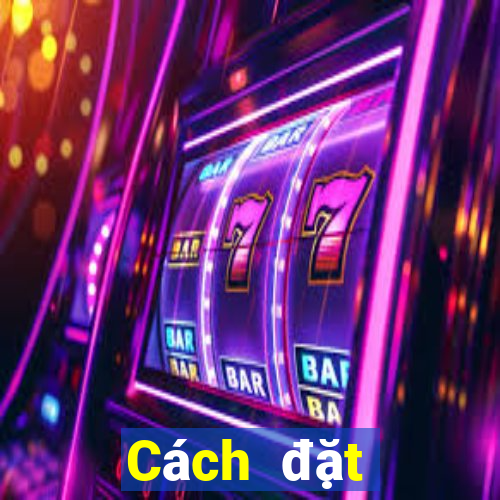 Cách đặt cược XSQT ngày 8