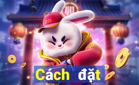 Cách đặt cược XSQT ngày 8