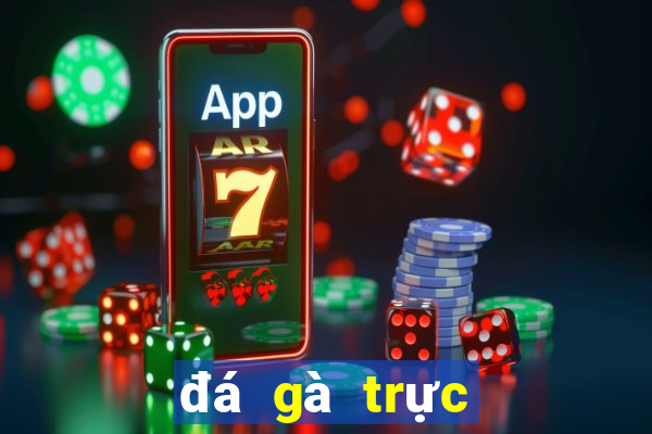 đá gà trực tiếp casino hôm nay