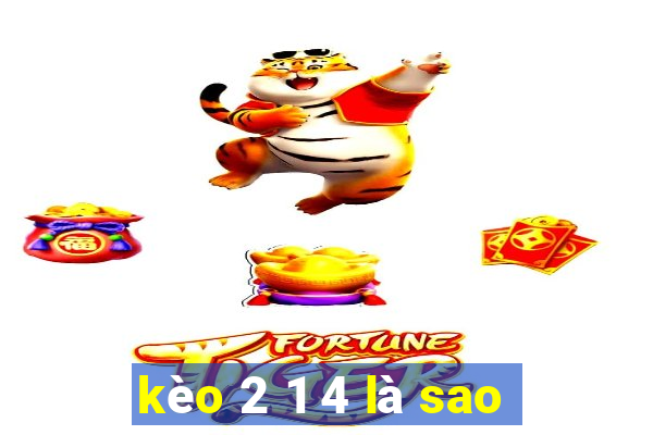 kèo 2 1 4 là sao