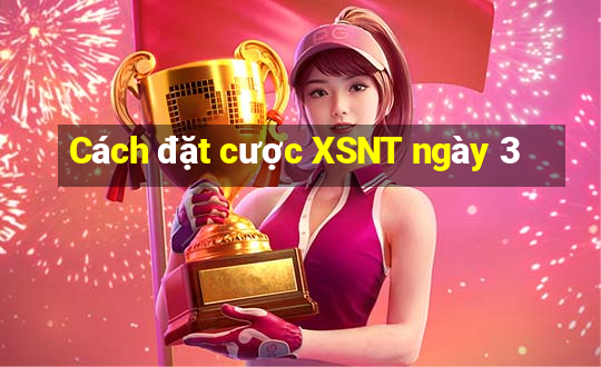 Cách đặt cược XSNT ngày 3