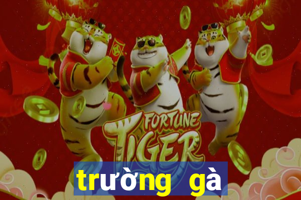 trường gà quốc tế casino 888