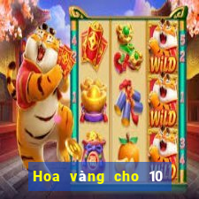 Hoa vàng cho 10 đô la nhập học