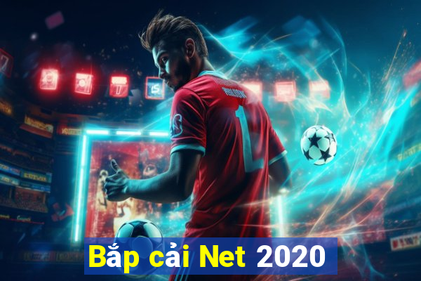 Bắp cải Net 2020