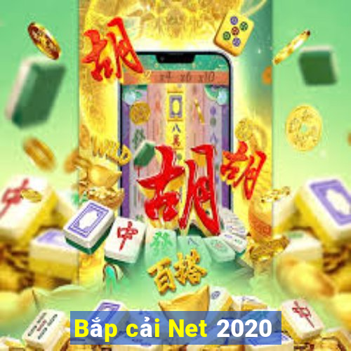 Bắp cải Net 2020