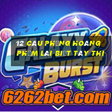 12 câu phụng hoàng phạm lãi biệt tây thi