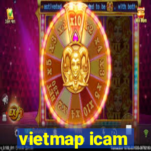 vietmap icam