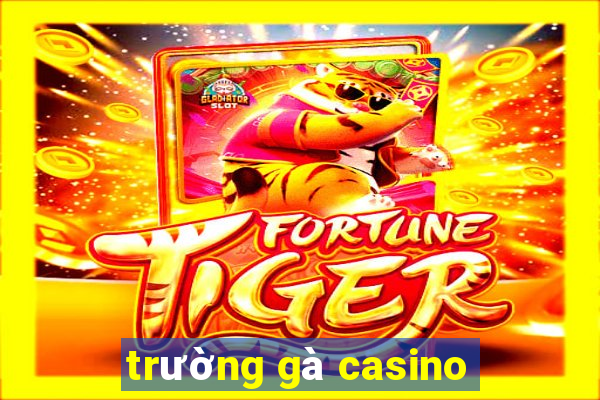 trường gà casino