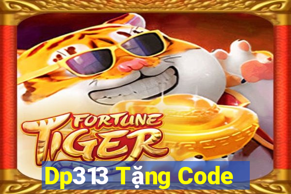 Dp313 Tặng Code