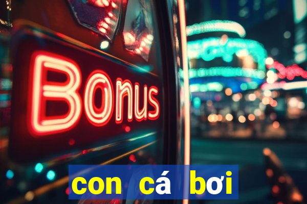 con cá bơi dưới nước