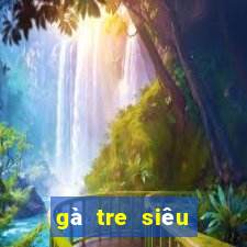 gà tre siêu giáp mỹ