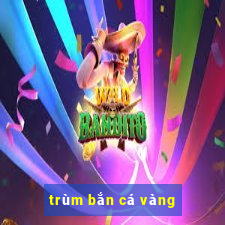 trum ban ca vang