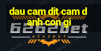 dau cam dit cam danh con gi