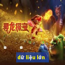 dữ liệu lớn