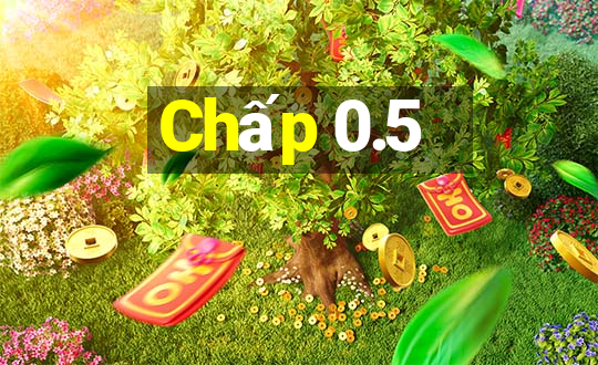 Chấp 0.5