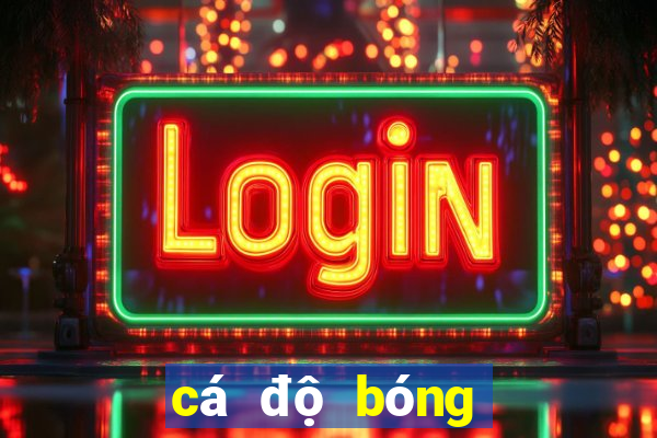 cá độ bóng đá tài xỉu là sao