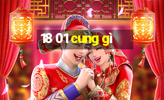 18 01 cung gì