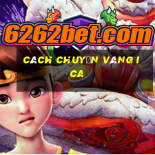 cách chuyển vàng ica