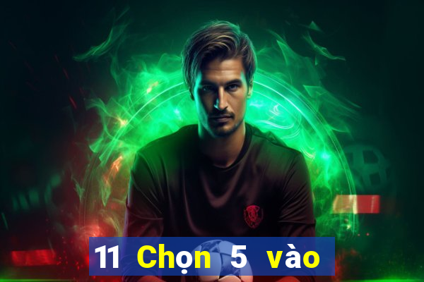 11 Chọn 5 vào 8 Phần mềm