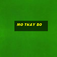 mo thay bo