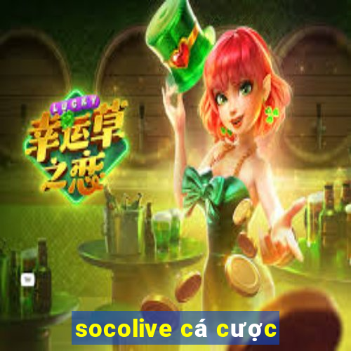 socolive cá cược