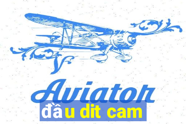 đầu dit cam