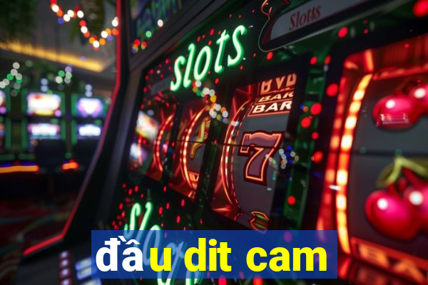 đầu dit cam