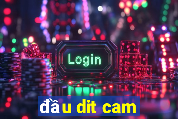 đầu dit cam