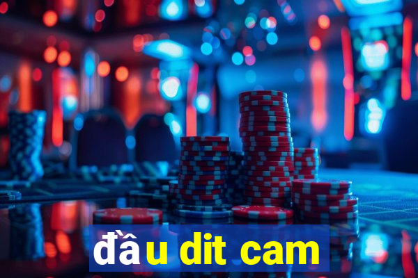 đầu dit cam