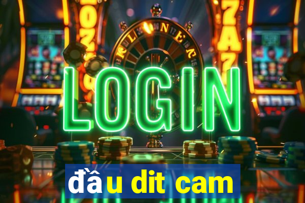 đầu dit cam