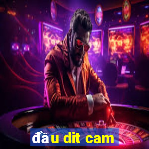 đầu dit cam