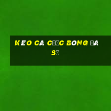 kèo cá cược bóng đá số