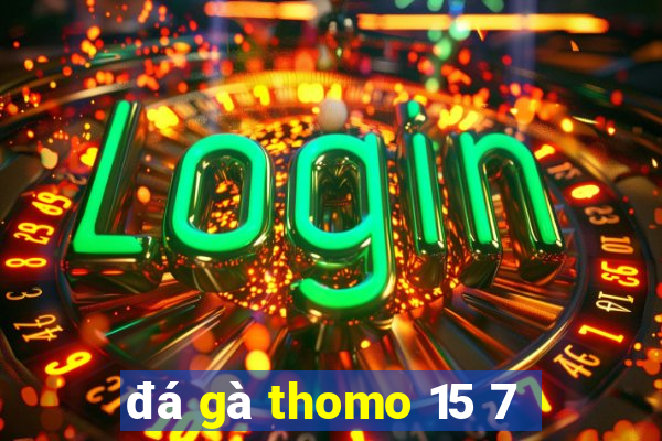 đá gà thomo 15 7