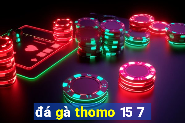 đá gà thomo 15 7