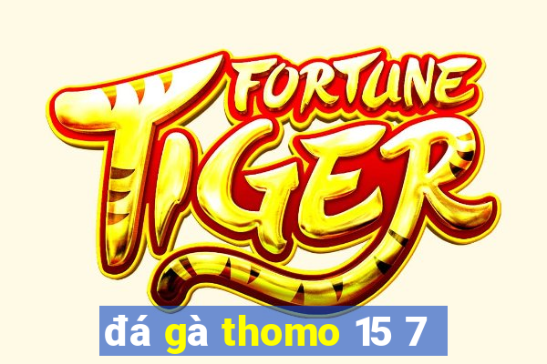 đá gà thomo 15 7