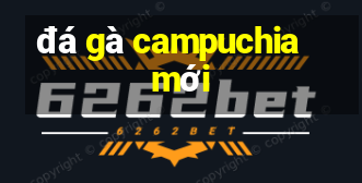 đá gà campuchia mới