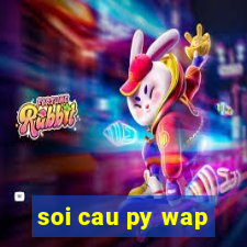 soi cau py wap