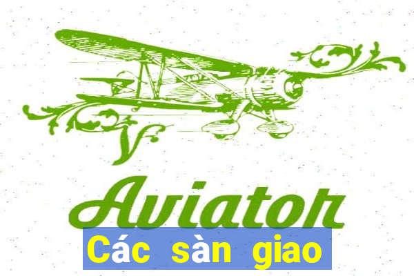 Các sàn giao dịch lừa đảo