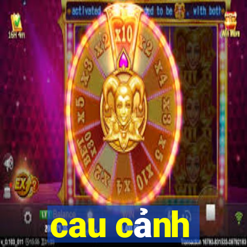 cau cảnh