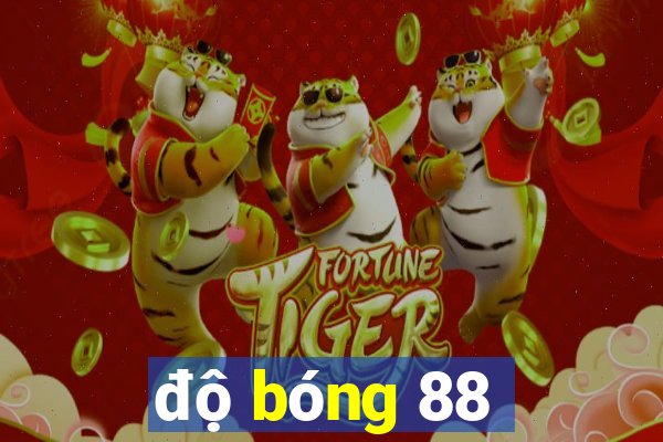 độ bóng 88