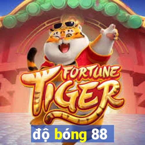 độ bóng 88