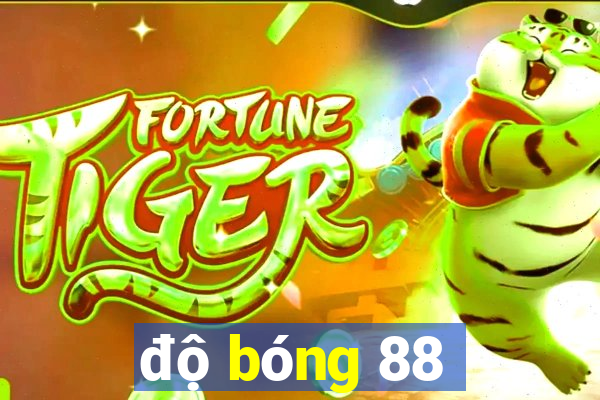 độ bóng 88