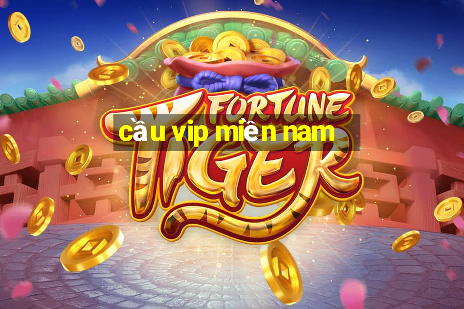 cầu vip miền nam