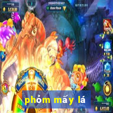 phỏm mấy lá