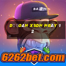 Dự đoán XSDN ngày 12